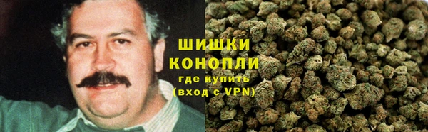 PSILOCYBIN Богородицк