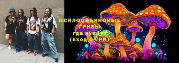 PSILOCYBIN Богородицк