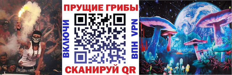наркотики  Бикин  Псилоцибиновые грибы ЛСД 
